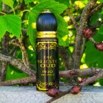 عطر ادکلن ذ مجستیک عود الکساندر جِی - The Majestic Oud Alexandre.J - بررسی، قیمت و خرید