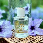 عطر ادکلن اِرلی مورنینگ بروکارد - Early Morning Brocard - بررسی، قیمت و خرید