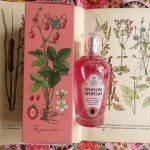 عطر ادکلن وایلد استرابری اند هرپس بروکارد - Лесная земляника и полевые травы - Wild Strawberry and Herbs Brocard - بررسی، قیمت و خرید