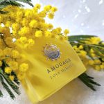 عطر ادکلن لاو میموزا آمواژ - Love Mimosa Amouage - بررسی، قیمت و خرید