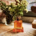 عطر ادکلن ساندلویا بویس ۱۹۲۰ - Sandalvia Bois 1920 - بررسی، قیمت و خرید
