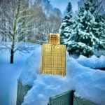 عطر ادکلن بربری بریت بربری - Burberry Brit Burberry - بررسی، قیمت و خرید