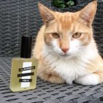 عطر ادکلن وای شش اس بلک‌برد - Y06-S Blackbird - بررسی، قیمت و خرید