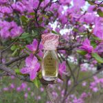 عطر ادکلن ایرفرانس شاریر پرفیومز - Air de France Charrier Parfums - بررسی، قیمت و خرید