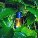 عطر ادکلن ال دار بلند عبدالصمد القرشی - Al Dar Blend Abdul Samad Al Qurashi - بررسی، قیمت و خرید