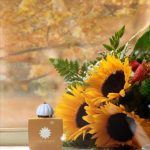 عطر ادکلن بیش هات وومن آمواج - Beach Hut Woman Amouage - بررسی، قیمت و خرید