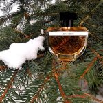 عطر ادکلن لیدی کارون کارون - Lady Caron Caron - بررسی، قیمت و خرید
