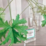 عطر ادکلن اپل بلاسم کلین - Apple Blossom Clean - بررسی، قیمت و خرید