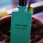 عطر ادکلن کاروِن وِتیوِر کاروِن - Carven Vetiver Carven - بررسی، قیمت و خرید