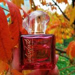 عطر ادکلن تودِی تومارو آلوِیز اَبسولوت اون - Today Tomorrow Always Absolute Avon - بررسی، قیمت و خرید