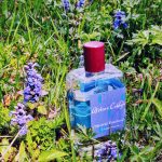 عطر ادکلن میسترال پاچولی عطر کولون - Mistral Patchouli Atelier Cologne - بررسی، قیمت و خرید