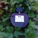 عطر ادکلن هر سیکرت تمپتیشن آنتونیو باندراس - Her Secret Temptation Antonio Banderas - بررسی، قیمت و خرید