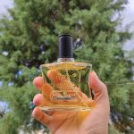 عطر ادکلن بروت بروت پرفیومز پرستیژ - Brut Brut Parfums Prestige - بررسی، قیمت و خرید