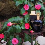 عطر ادکلن اُر نُوار بالدینینی - Or Noir Baldinini - بررسی، قیمت و خرید