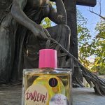 عطر ادکلن دولور بوگ - Douleur!2 Bogue - بررسی، قیمت و خرید