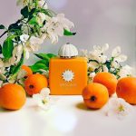 عطر ادکلن سانشاین وومن آمواژ - Sunshine Woman Amouage - بررسی، قیمت و خرید