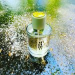 عطر ادکلن اِرلی مورنینگ بروکارد - Early Morning Brocard - بررسی، قیمت و خرید