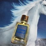 عطر ادکلن مون ویند ایوون - Moonwind Avon - بررسی، قیمت و خرید