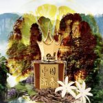 عطر ادکلن چینی عود ۲ اریج له دوری - Chinese Oud II Areej Le Doré - بررسی، قیمت و خرید