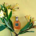 عطر ادکلن ونیلا فیلدز کوتی - Vanilla Fields Coty - بررسی، قیمت و خرید