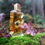 عطر ادکلن ایووک فور هر اجمل - Evoke for Her Ajmal - بررسی، قیمت و خرید