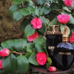 عطر ادکلن اُر نُوار بالدینینی - Or Noir Baldinini - بررسی، قیمت و خرید