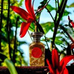 عطر ادکلن عشق انفاس - Ishq Anfas - بررسی، قیمت و خرید
