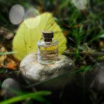 عطر ادکلن بوشارون کاتر بوشِرون - Boucheron Quatre Boucheron - بررسی، قیمت و خرید