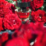 عطر ادکلن پیروت انجل شلسر - Pirouette Angel Schlesser - بررسی، قیمت و خرید