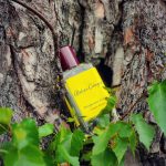 عطر ادکلن برگاموت سولیل آتلیر کلون - Bergamote Soleil Atelier Cologne - بررسی، قیمت و خرید