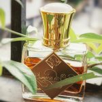 عطر ادکلن پلامریا دی اوریس اریج لدوره - Plumeria de Orris Areej Le Doré - بررسی، قیمت و خرید