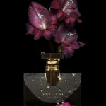عطر ادکلن ژَسمین نوآر بولگاری - Jasmin Noir Bvlgari - بررسی، قیمت و خرید