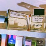 عطر ادکلن اگوئیست پلاتینوم شنل - Egoiste Platinum Chanel - بررسی، قیمت و خرید