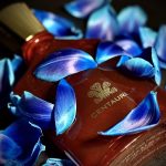 عطر ادکلن سنتوروس کرید - Centaurus Creed - بررسی، قیمت و خرید