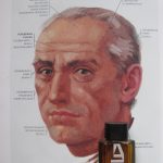 عطر ادکلن اِزارو پور هوم آزارو - Azzaro pour Homme Azzaro - بررسی، قیمت و خرید