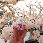 عطر ادکلن آناایس آناایس پرمیر دلیس کاشرل - Anais Anais Premier Delice Cacharel - بررسی، قیمت و خرید