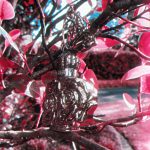 عطر ادکلن لا نوی دو بوهم آنا سویی - La Nuit de Bohème Anna Sui - بررسی، قیمت و خرید