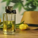 عطر ادکلن تلمن بلو الکس سیمون - Tellement Bleu Alex Simone - بررسی، قیمت و خرید