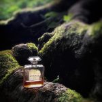 عطر ادکلن بوا دزیل پارفوم شانل - Bois Des Iles Parfum Chanel - بررسی، قیمت و خرید