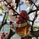 عطر ادکلن چروتی ۱۸۸۱ کالکشن چروتی - Cerruti 1881 Collection Cerruti - بررسی، قیمت و خرید