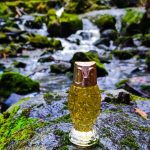 عطر ادکلن تاشا ایوون - Tasha Avon - بررسی، قیمت و خرید