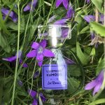 عطر ادکلن له رِوِر بروکارد - Les Reveurs Brocard - بررسی، قیمت و خرید