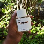 عطر ادکلن میموسا کامادیتی - Mimosa Commodity - بررسی، قیمت و خرید