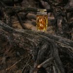 عطر ادکلن لا پانتر پارفوم کارتیر - La Panthère Parfum Cartier - بررسی، قیمت و خرید