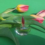 عطر ادکلن فلناد شریه پارفوم - Flanade Charrier Parfums - بررسی، قیمت و خرید