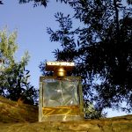 عطر ادکلن کریستوبال بالنسیاگا - Cristobal Balenciaga - بررسی، قیمت و خرید