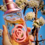 عطر ادکلن وومن این رز الساندرو دل آکوا - Woman In Rose Alessandro Dell' Acqua - بررسی، قیمت و خرید