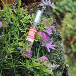 عطر ادکلن کارجالان توکسو آروما کارلِیا - Karjalan tuoksu Aroma Karelia - بررسی، قیمت و خرید