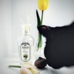 عطر ادکلن تولپان ای میموزا بروکارد - Тюльпан и мимоза - Tulip and Mimosa Brocard - بررسی، قیمت و خرید
