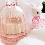عطر ادکلن سی بای کلویی کلوئه - See By Chloé Chloé - بررسی، قیمت و خرید